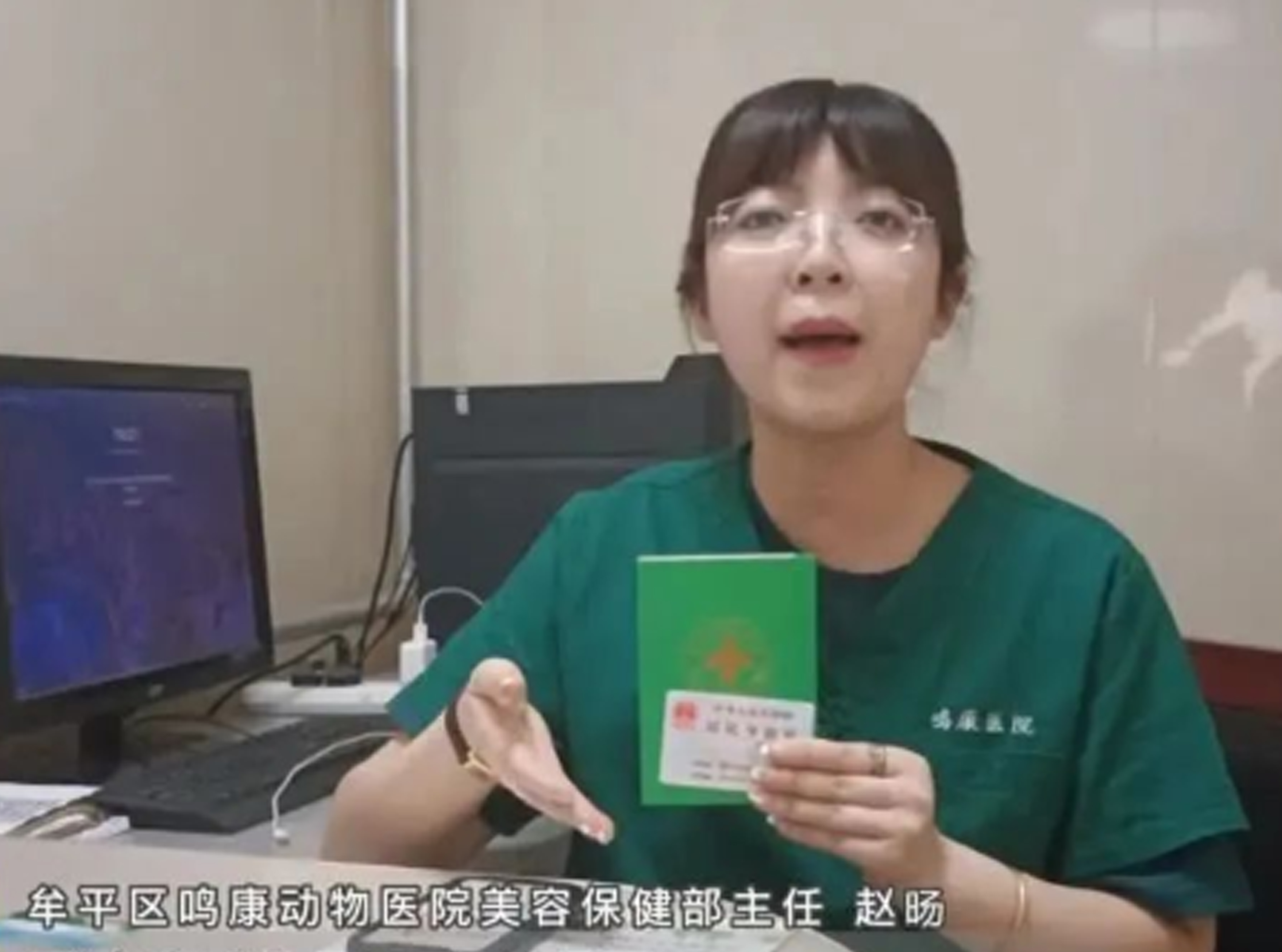 自5月10日起，牟平區可以辦犬證啦！